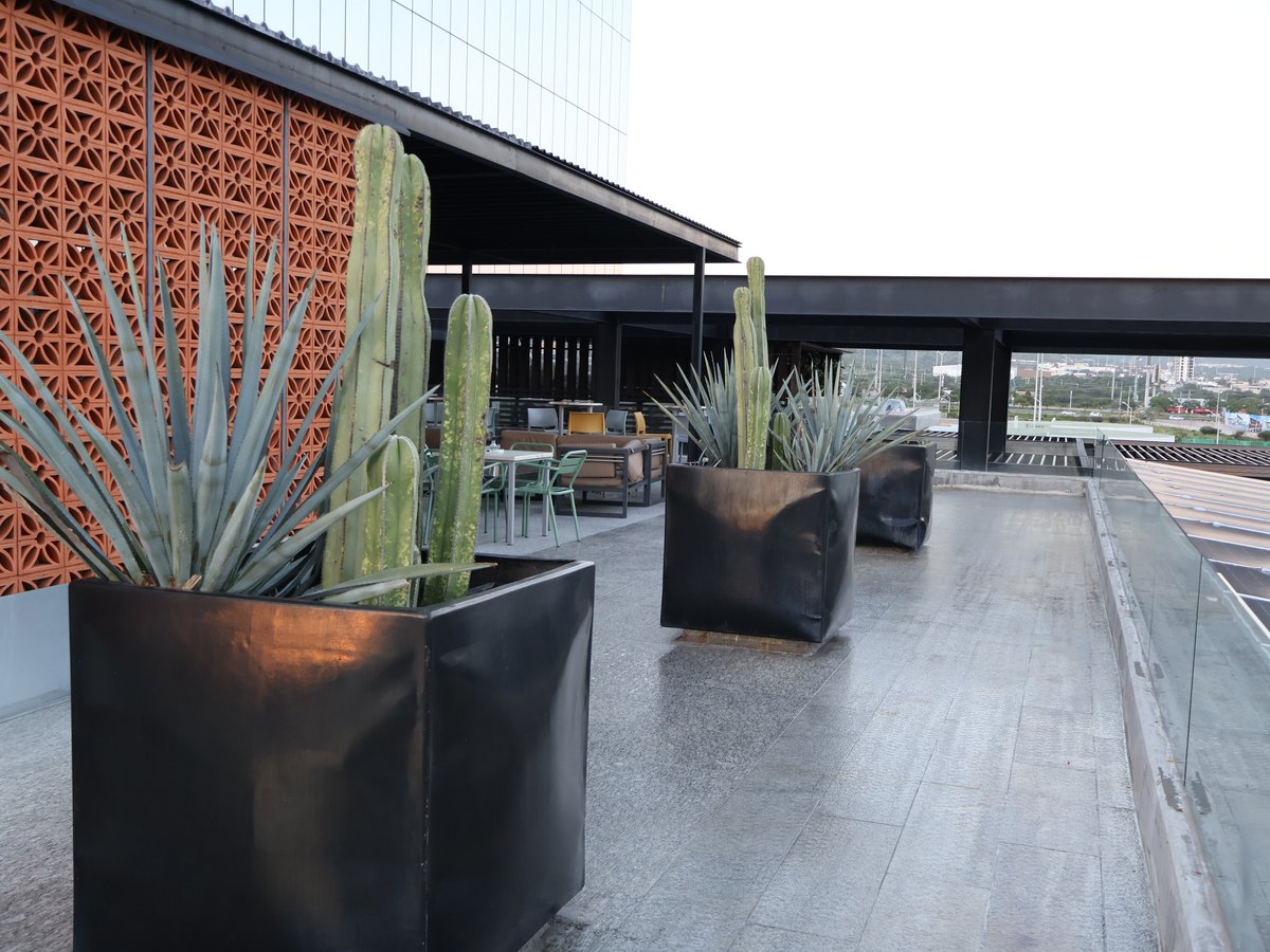 Terraza exterior con áreas de descanso